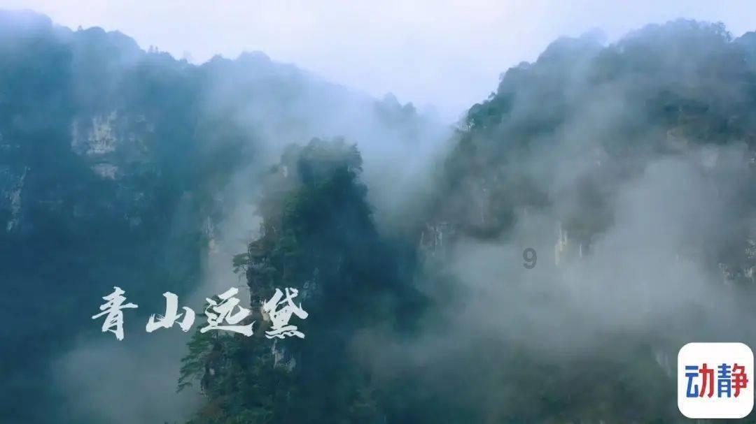 德州市人民政府办公室与山东省地矿局第二水文队联合开展主题党日活动