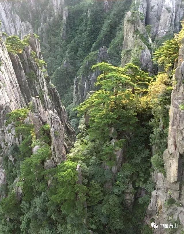 燃烧吧大脑免广告最新版